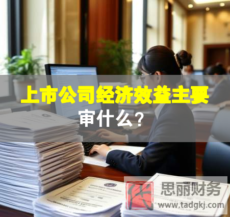 上市公司經(jīng)濟(jì)效益主要審什么？