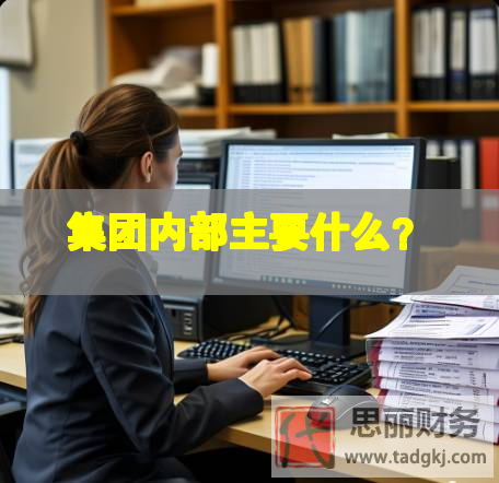 集團(tuán)內(nèi)部主要什么？