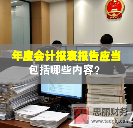 年度會(huì)計(jì)報(bào)表報(bào)告應(yīng)當(dāng)包括哪些內(nèi)容？