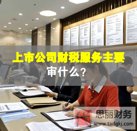 上市公司財稅服務主要審什么？