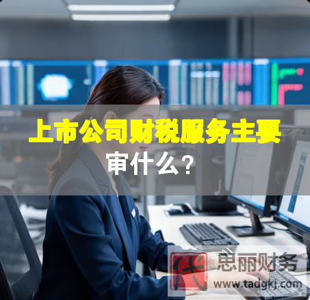 上市公司財稅服務主要審什么？