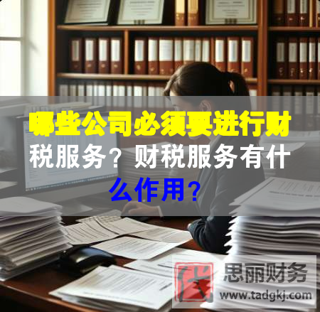 哪些公司必須要進行財稅服務(wù)？財稅服務(wù)有什么作用？