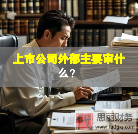 上市公司外部主要審什么？