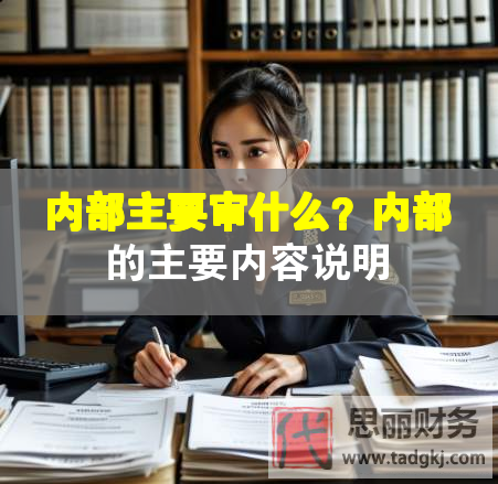 內部主要審什么？內部的主要內容說明
