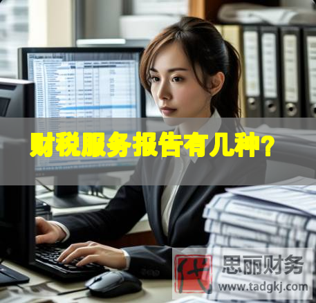 財稅服務(wù)報告有幾種？