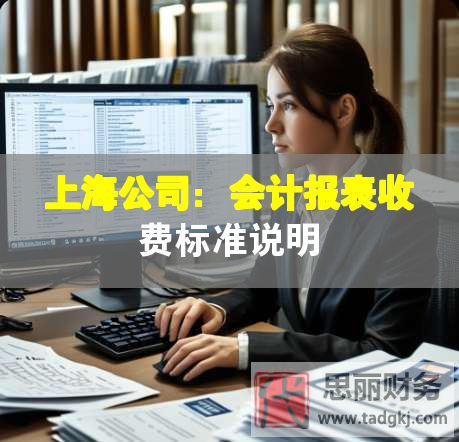 上海公司:會(huì)計(jì)報(bào)表收費(fèi)標(biāo)準(zhǔn)說(shuō)明 上海公司:會(huì)計(jì)報(bào)表收費(fèi)標(biāo)準(zhǔn)說(shuō)明