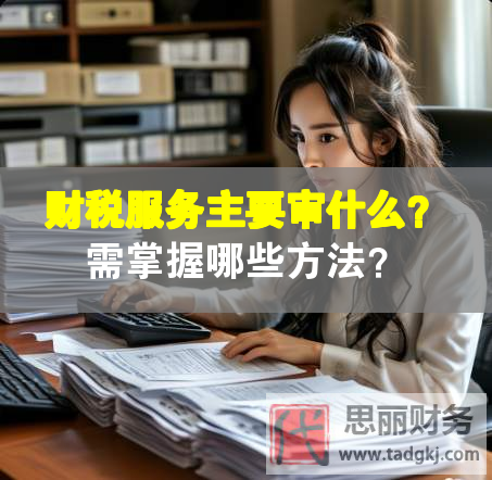 財(cái)稅服務(wù)主要審什么？需掌握哪些方法？