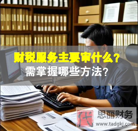 財(cái)稅服務(wù)主要審什么？需掌握哪些方法？