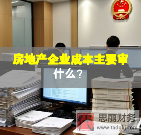 房地產企業(yè)成本主要審什么？